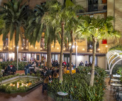 EL JARDÍ DE L'ATENEU EL JARDÍ DE L'ATENEU