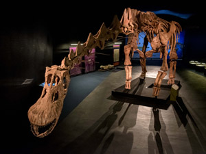Dinosaurs from Patagonia