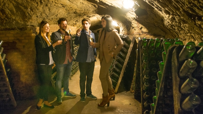 Visits to wineries